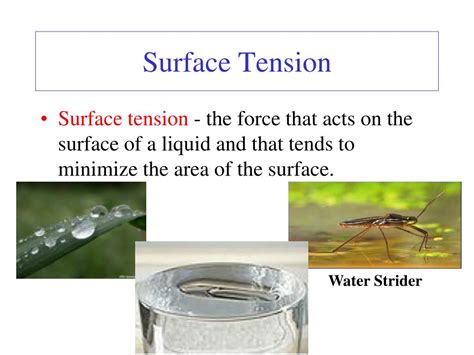 what does surface tension mean